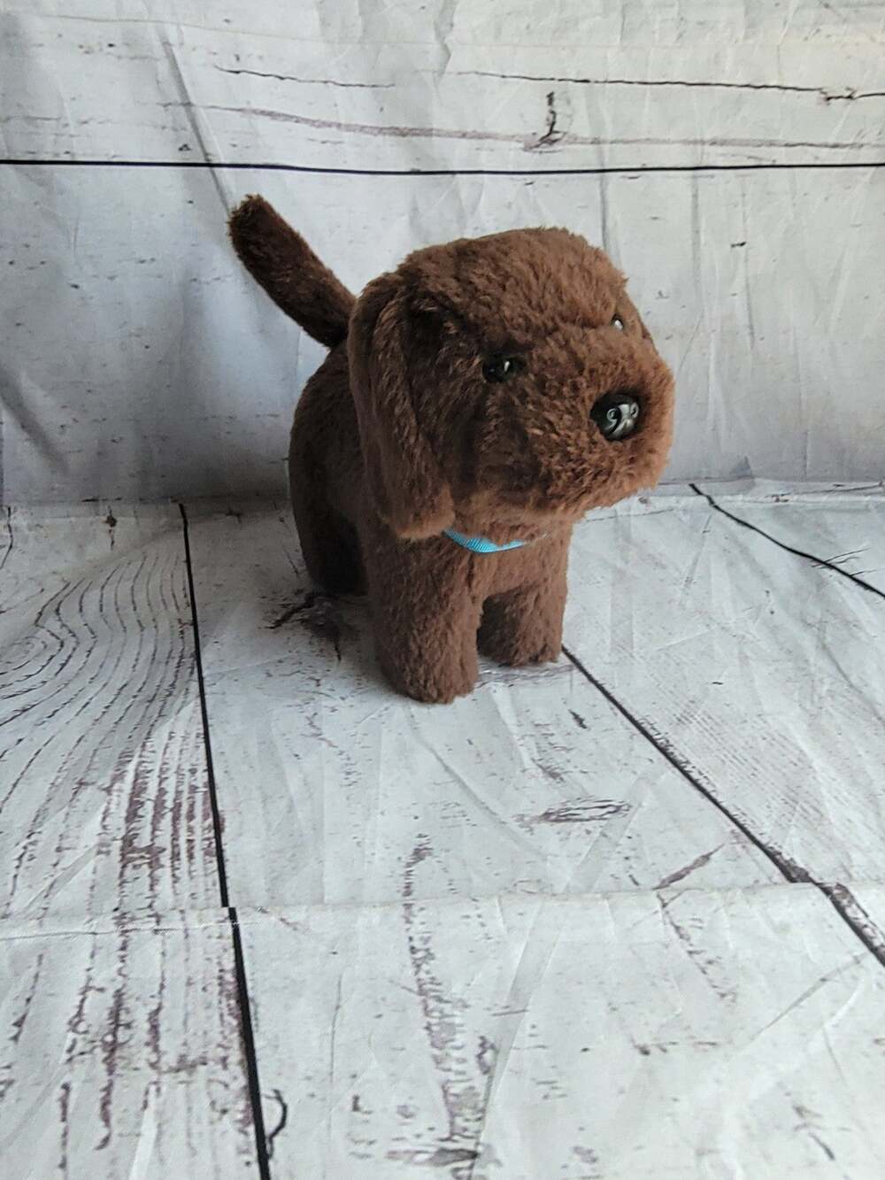 American Girl dog pet Chocolate Chip Labrador brown with collar Hard Body